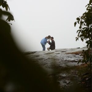 Gallery Photo 1
