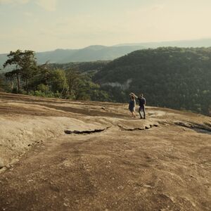 Gallery Photo 37