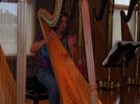 Gaye LeBlanc - Harpist - Norman, OK - Hero Gallery 4