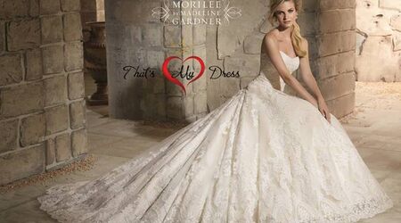 Dani stafford say outlet yes to the dress