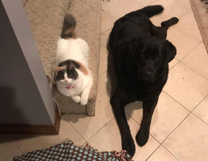 Who knew, that that friendship would become so much more. 