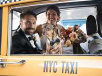 newlyweds getting into taxi with dog in nyc 