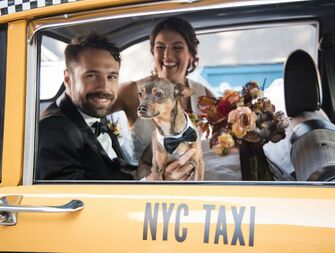 newlyweds getting into taxi with dog in nyc 
