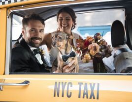 newlyweds getting into taxi with dog in nyc 