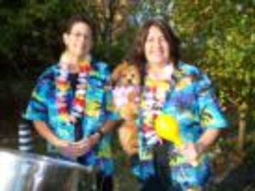 Calypso Bluz Tropical Island Duo - Steel Drum Band - Kansas City, MO - Hero Main