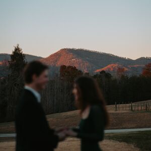 Gallery Photo 8