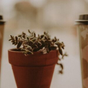 Gallery Photo 45