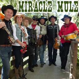 Miracle Mule, profile image