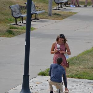 Gallery Photo 7