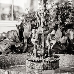 Gallery Photo 345