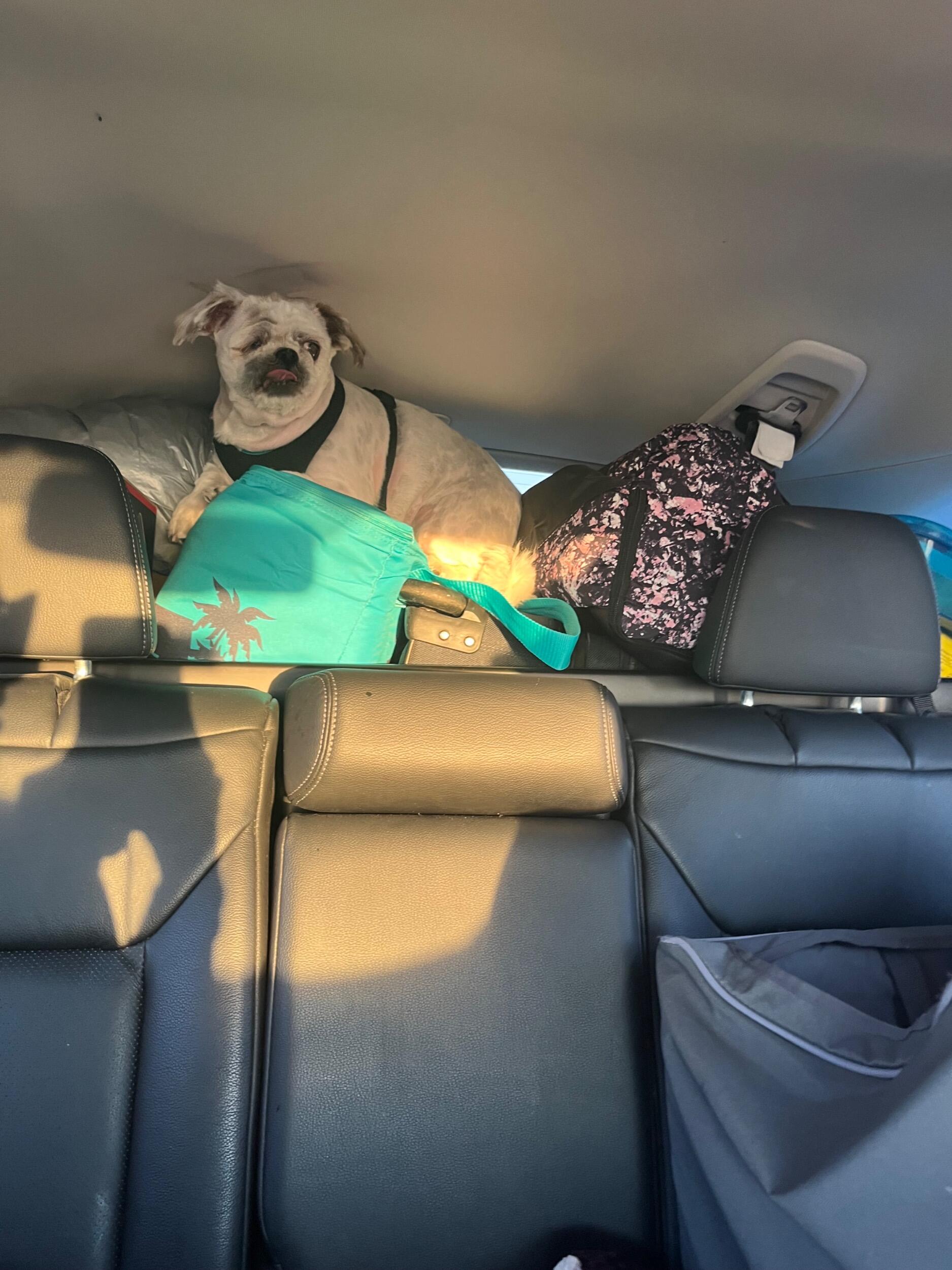 Road Trip to California