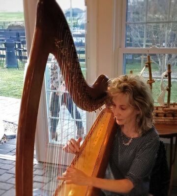 Elfan Harp - Harpist - Crozet, VA - Hero Main