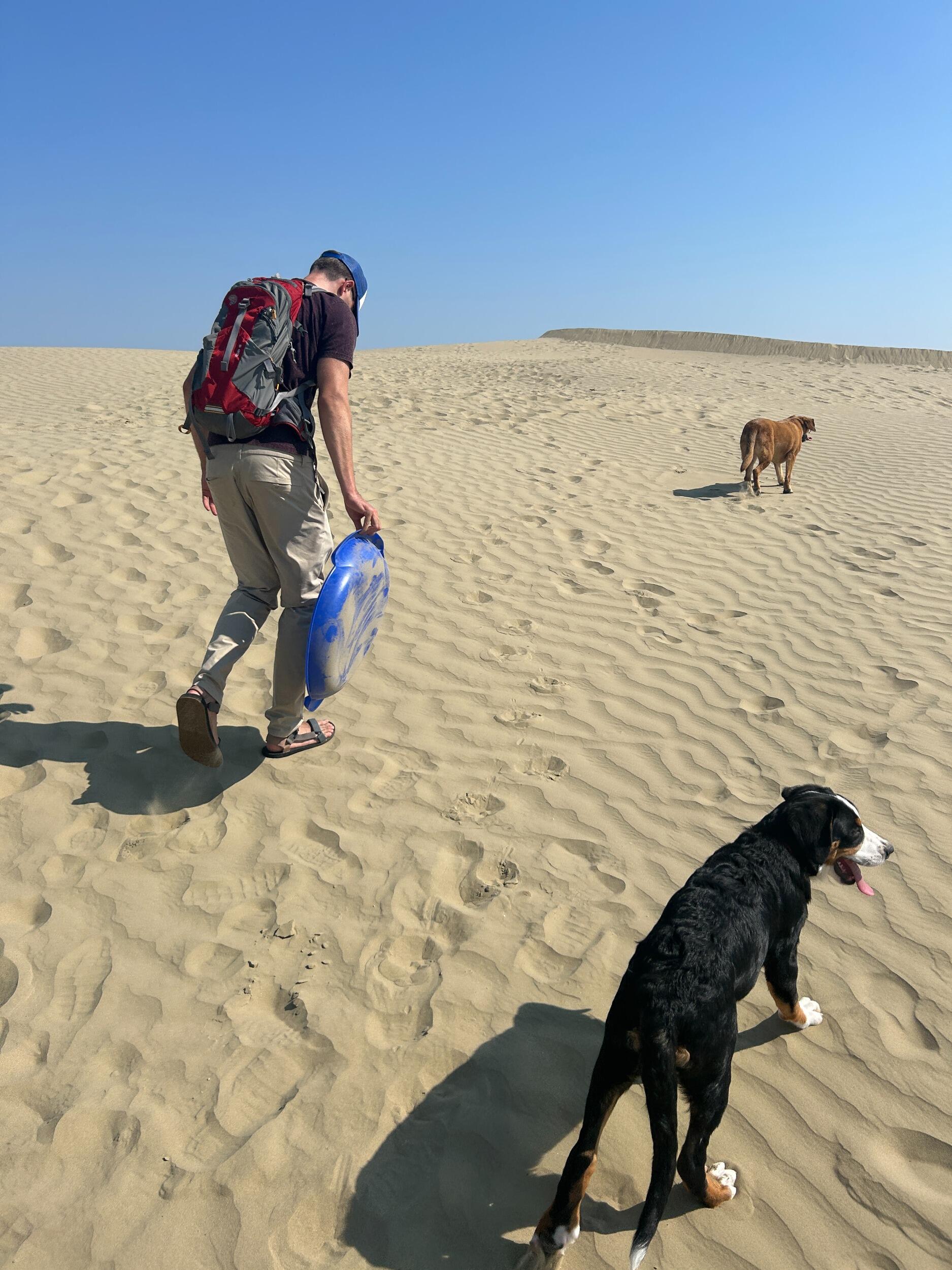Great Sand Hills provincial park - Sask.