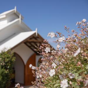 Gallery Photo 12