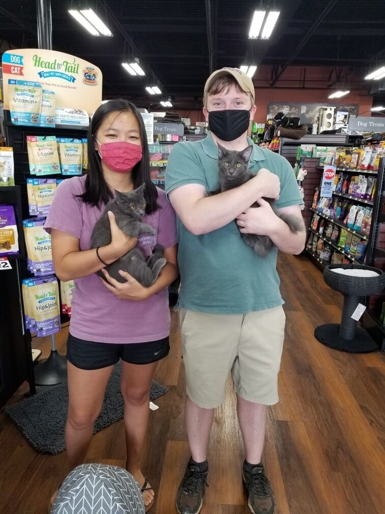 Adopted our first (fur) babies, Bean and Elfo!