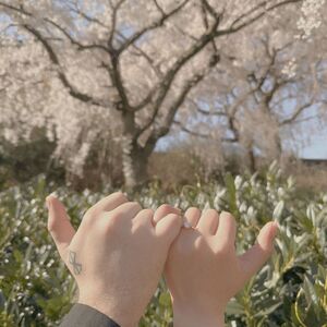Gallery Photo 26