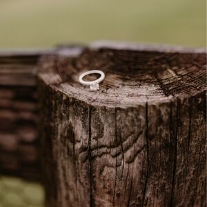 Gallery Photo 7
