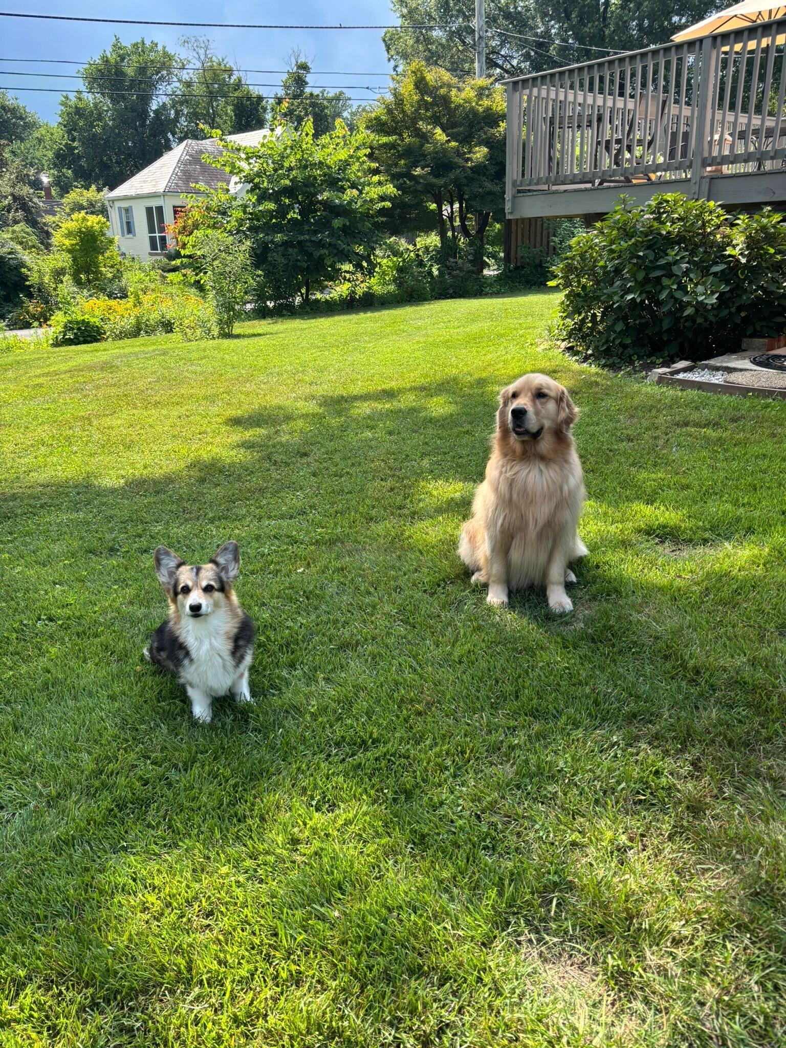 Bought a House!
Mimi and Matt *finally* closed on their house and moved in together. Casco and Charlie became reluctant roommates. 