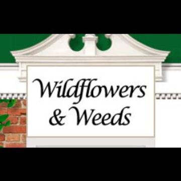 Wildflowers & Weeds - Florist - Milwaukee, WI - Hero Main