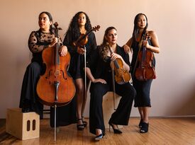 Midtown Strings - String Quartet - Chicago, IL - Hero Gallery 2