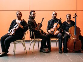 Rousseau String Quartet - String Quartet - Ottawa, ON - Hero Gallery 4