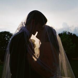 Gallery Photo 37