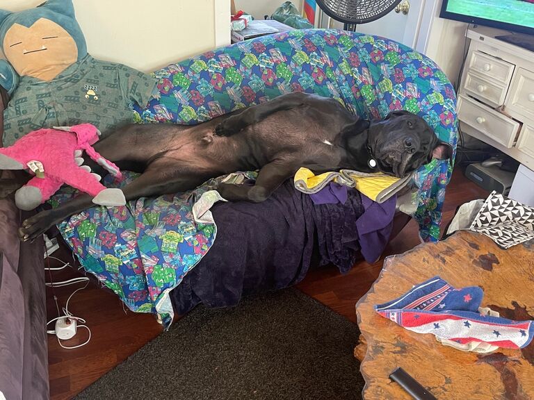 Belly Rub?