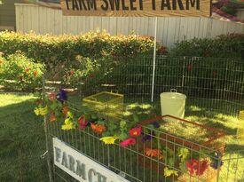 All About A Farm - Petting Zoo - Davis, CA - Hero Gallery 1