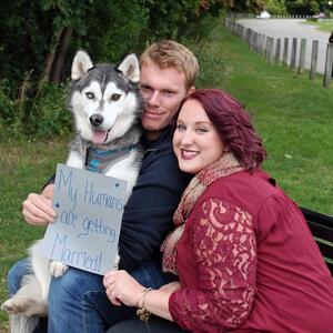 Gallery Photo 28