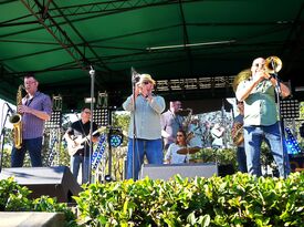 Brown Bag Brass Band - Brass Band - Orlando, FL - Hero Gallery 2