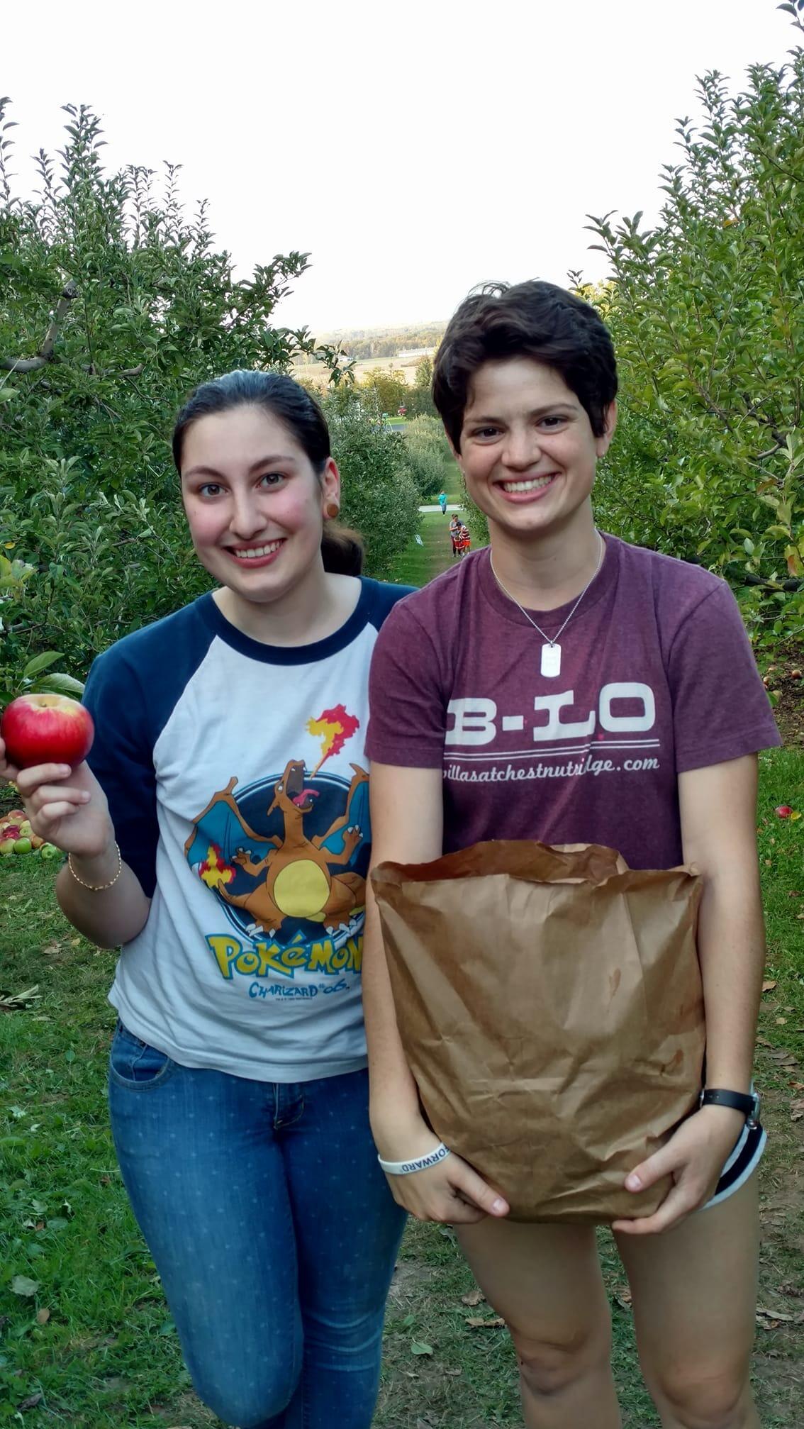 Apple picking at Blackman Farm