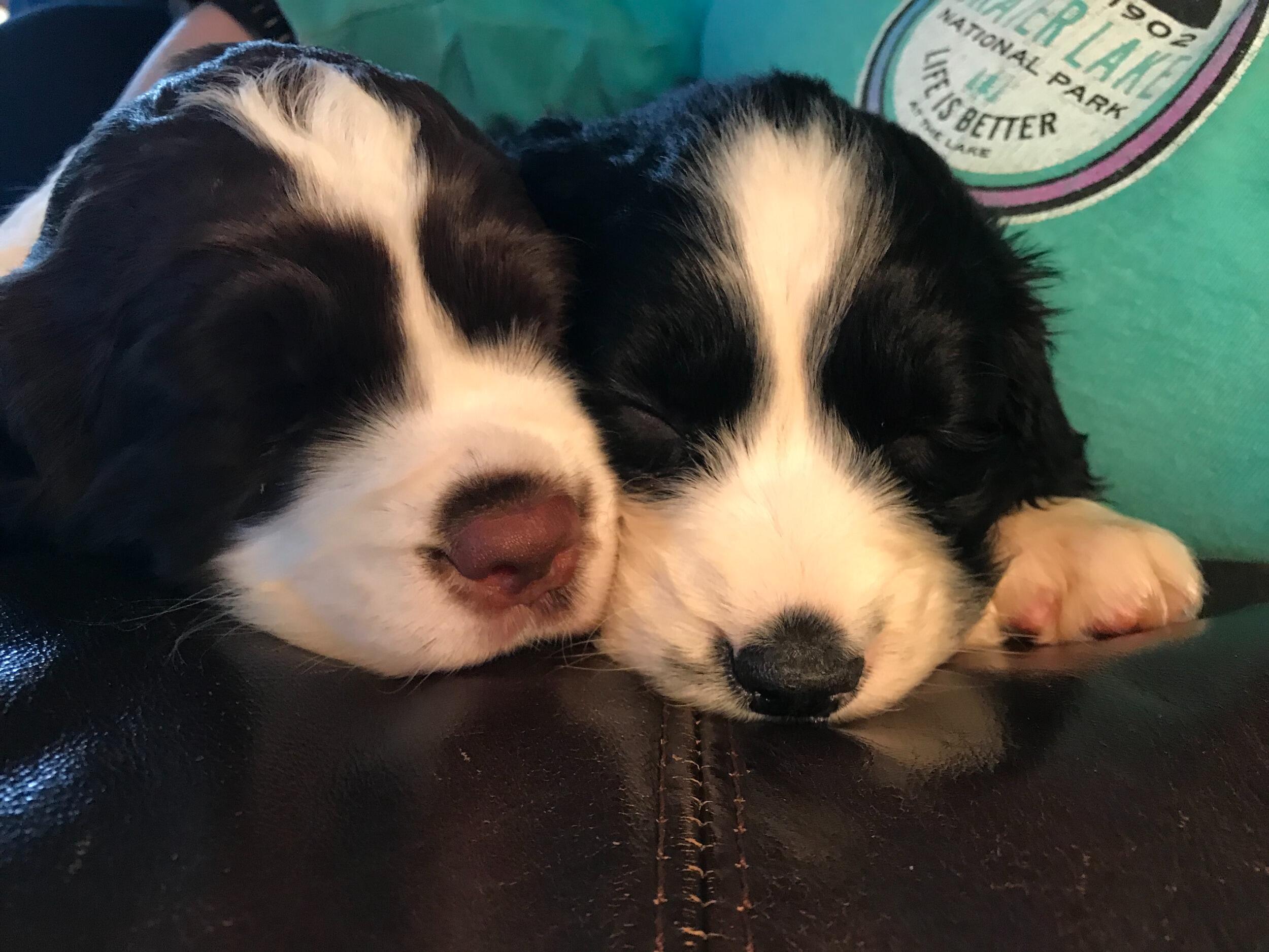 Mila gets a best friend.