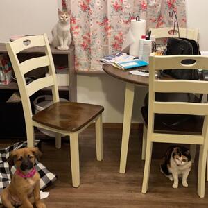 Gallery Photo 11