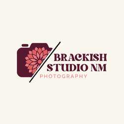 Brackish Studio NM, profile image