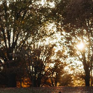 Gallery Photo 450
