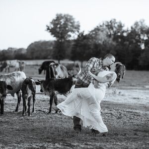 Gallery Photo 14