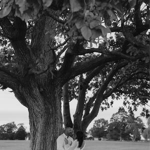 Gallery Photo 16