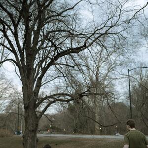 Gallery Photo 33