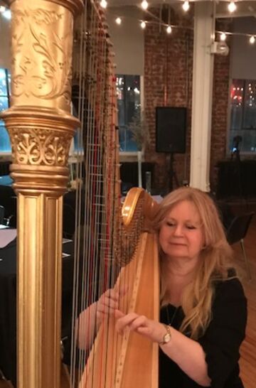 Beautiful Harp Music - Harpist - Reading, PA - Hero Main