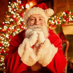 Ho-Ho Santa, profile image