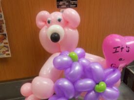 Balloons by Ciel - Balloon Twister - Taunton, MA - Hero Gallery 4