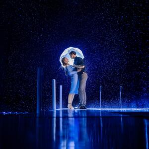 Gallery Photo 44