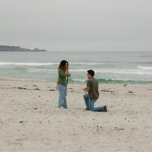 Gallery Photo 4