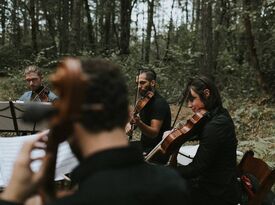 Ensemble Esprit - String Quartet - Corvallis, OR - Hero Gallery 1