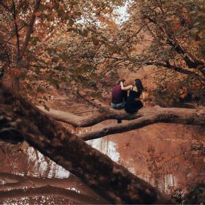 Gallery Photo 35