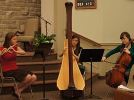 The Soenen Sisters - Harp, Flute, and Cello - Classical Trio - Hamilton, ON - Hero Gallery 4