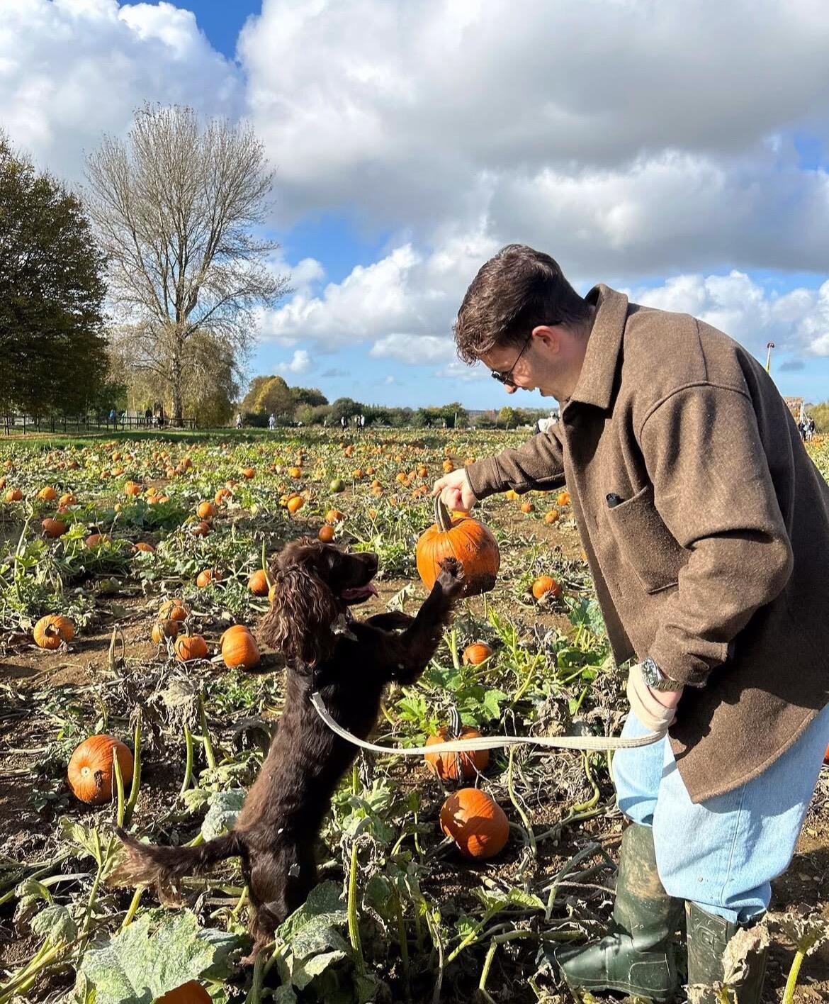 AVON VALLEY PUMPKIN PATCH