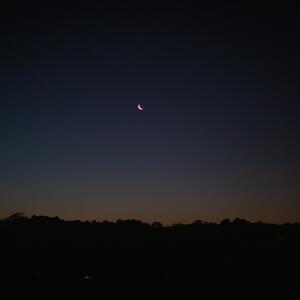Gallery Photo 67