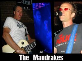 The Mandrakes - Cover Band - Huntington Beach, CA - Hero Gallery 1
