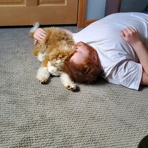 Gallery Photo 27